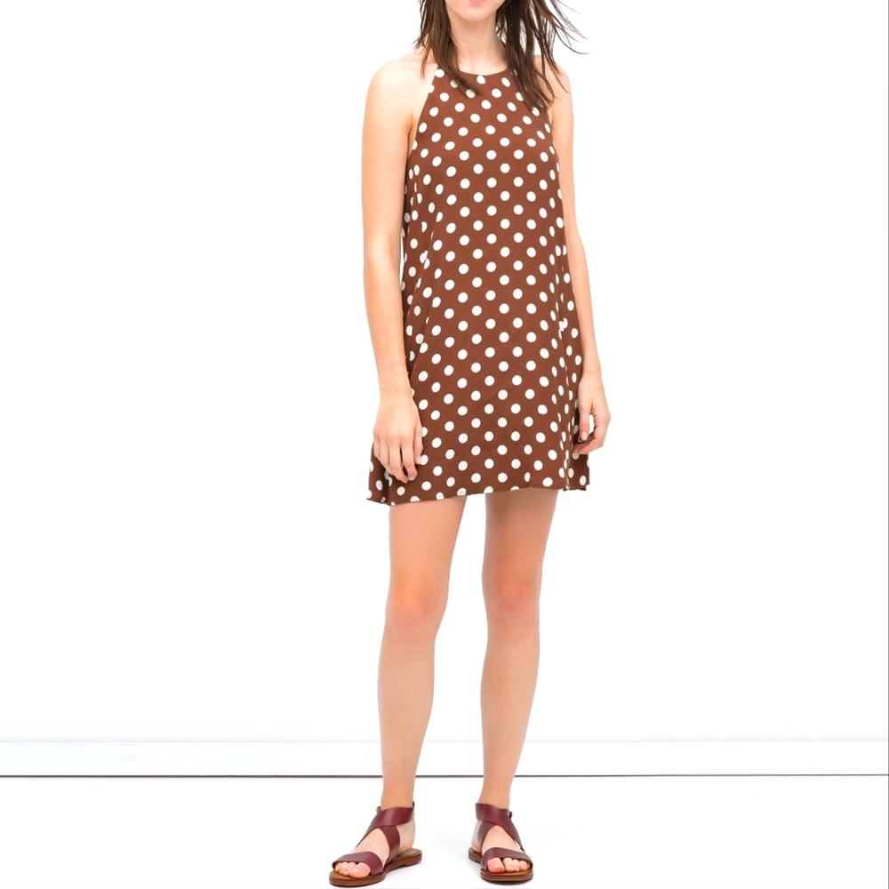 Zara Brown Polka-dot Dress